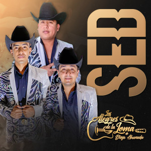 Los Alegres De La Loma De Diego Ahumada的专辑Sed