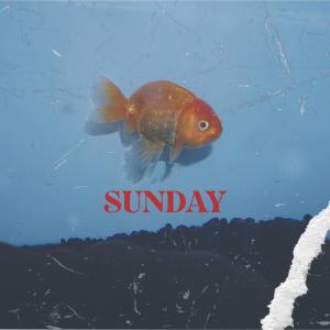 ดาวน์โหลดและฟังเพลง Sunday พร้อมเนื้อเพลงจาก Reybones