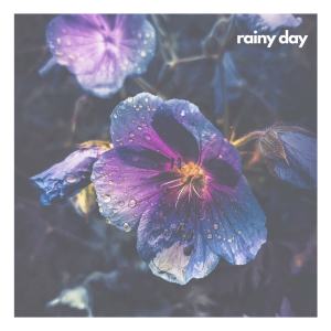 收聽T V S N的Rainy Day歌詞歌曲