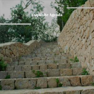 Dengarkan lagu Themselves Likes nyanyian Johary Mien dengan lirik