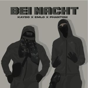 ดาวน์โหลดและฟังเพลง Bei Nacht (Explicit) พร้อมเนื้อเพลงจาก Kaydo