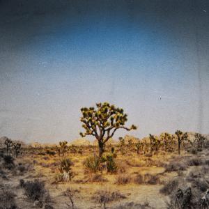ดาวน์โหลดและฟังเพลง Twentynine Palms พร้อมเนื้อเพลงจาก Austin Harms