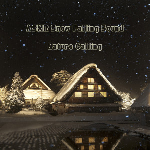 Dengarkan lagu ASMR Walking In The Snow nyanyian 네이쳐콜링 dengan lirik