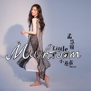 Album Little Mushroom (Demo) from 孟慧圆