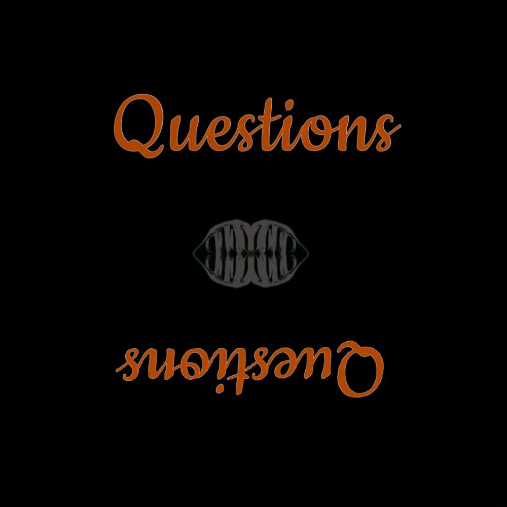 Questions (feat. Lil CG) (Explicit)