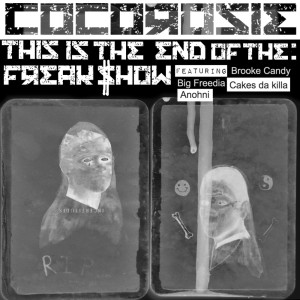 CocoRosie的专辑End of the Freak Show (Explicit)