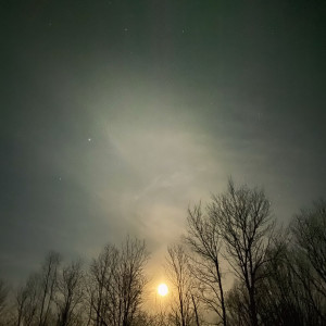 Listen to To Hope song with lyrics from ozaze