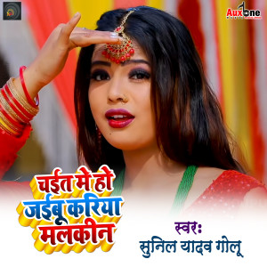 Listen to Chait Me Ho Jaibu Kariya Malkin song with lyrics from Sunil Yadav Golu