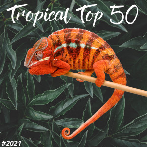 อัลบัม TROPICAL TOP 50 #2021 ศิลปิน Francesco Digilio