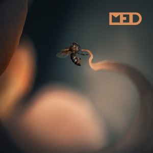 Album Med from MED