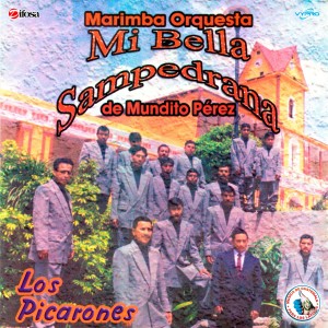 ดาวน์โหลดและฟังเพลง Tropi Rancheras 3: Orgullo Maldito / Casas de Madera / Paloma Errante พร้อมเนื้อเพลงจาก Marimba Orquesta Mi Bella Sampedrana
