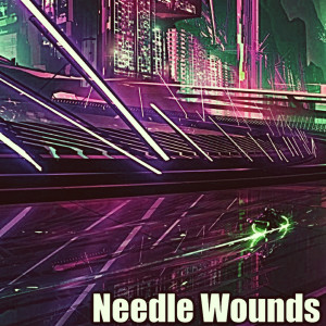 收聽Pamela Corea的Needle Wounds歌詞歌曲