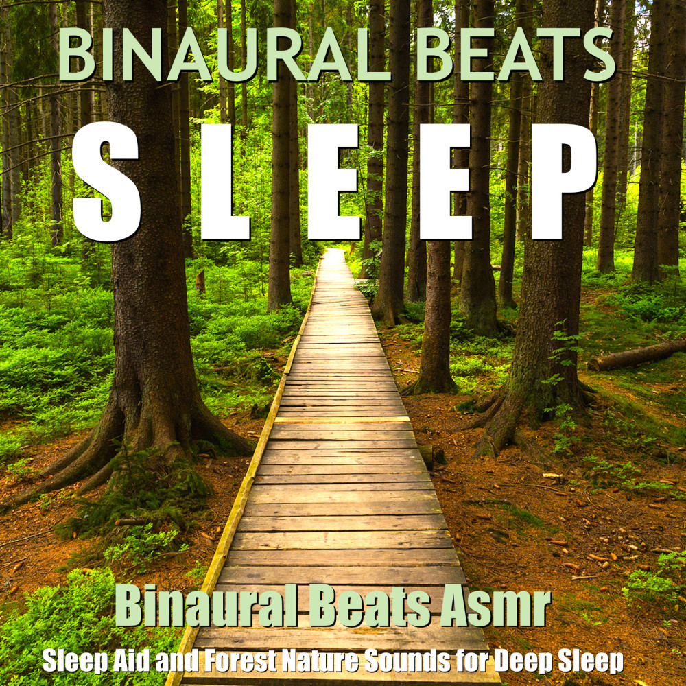 Alpha Waves for Sleep (Forest Sounds)