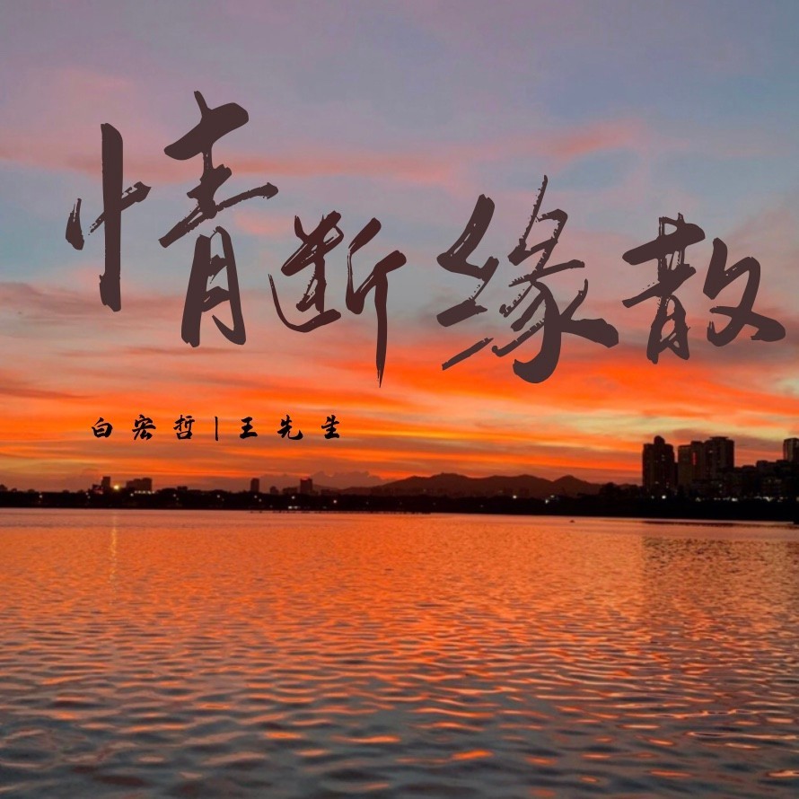 忘情忘你忘最初（DJHZ版） (伴奏)