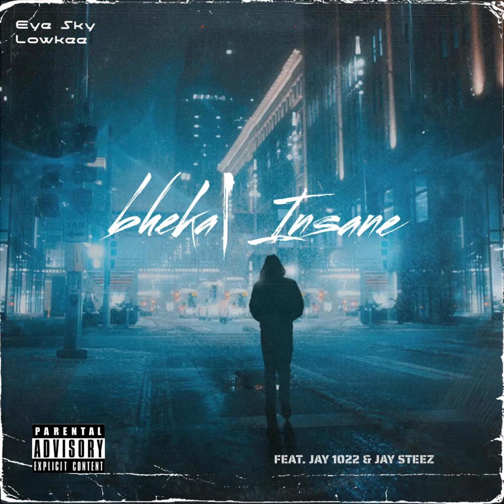 bheka / Insane (feat. jay 1022 & Jay Steez) (Explicit)