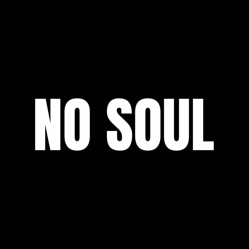 NO SOUL ((ULTRA SLOWED & REVERB))