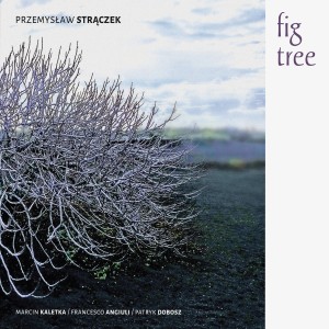 อัลบัม Fig Tree ศิลปิน Przemysław Strączek