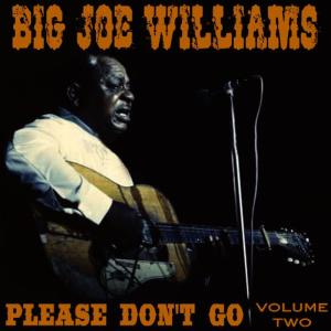 收聽Big Joe Williams的Vitamin A歌詞歌曲