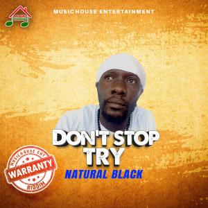 Music House Entertainment的專輯Don't Stop Try (feat. Natural Black)