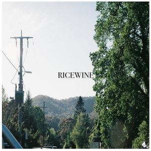 Listen to Bye, Goodnight (Explicit) song with lyrics from Ricewine