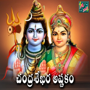 Umesh Sharma的專輯CHANDRA SEKHARASHTAKAM