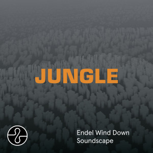 Endel的專輯JUNGLE (Wind Down Soundscape)