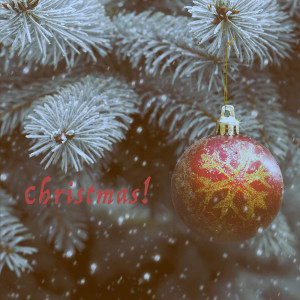Jingle Bells的專輯Christmas!