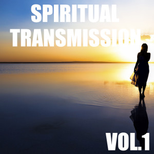 Album Spiritual Transmission, Vol.1 from The Imperas