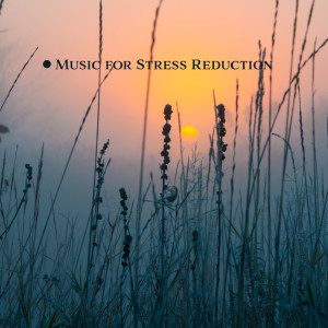 Gentle Instrumental Music Paradise的專輯Music for Stress Reduction (Soothing Soundscape, Nature Serenity, Calming New Age Music)