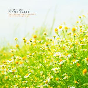 ดาวน์โหลดและฟังเพลง The Melody Of The Night Sky พร้อมเนื้อเพลงจาก Han Dayeong
