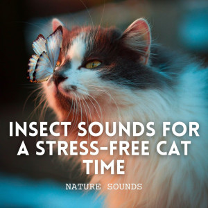 Calming Cat Music的专辑Binaural Rain: Insect Sounds for a Stress-Free Cat Time