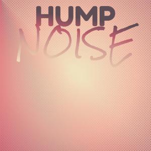 Various Artists的專輯Hump Noise