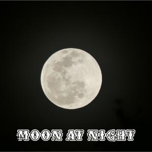 收聽Pseudo Ra的Moon at Night (feat. Sahar)歌詞歌曲