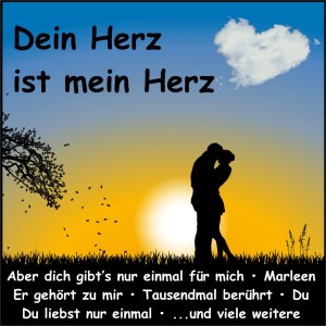 ดาวน์โหลดและฟังเพลง Wenn die Seele brennt พร้อมเนื้อเพลงจาก Diana Leonhardt