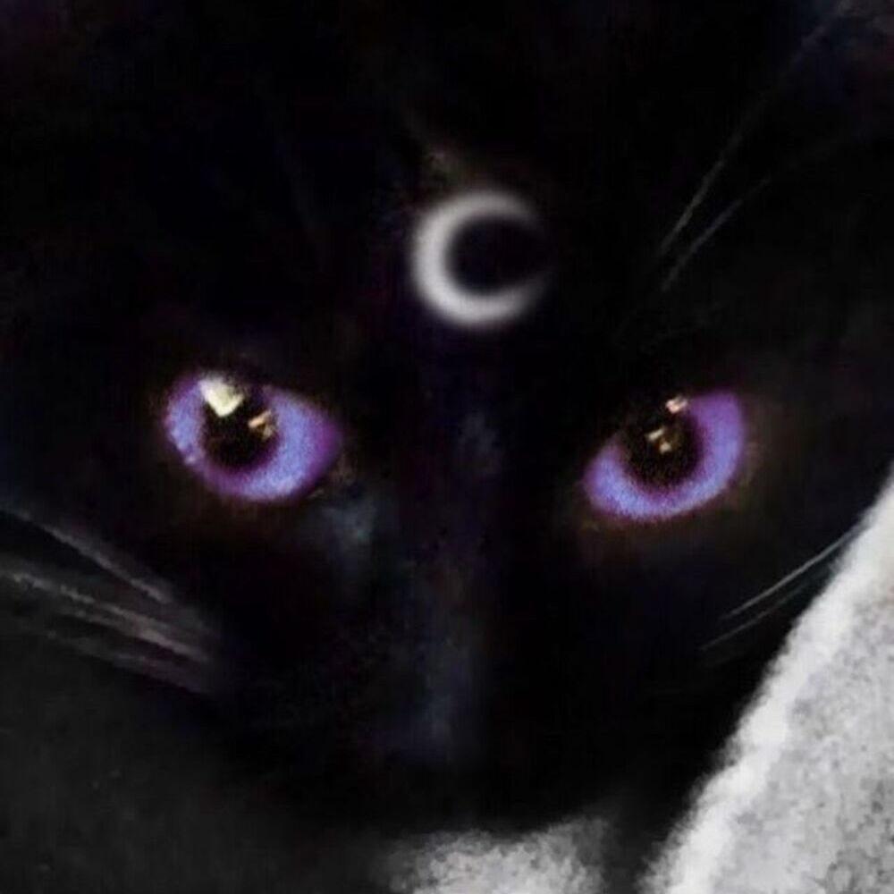 Luna Lean