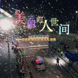 Listen to 美丽的人世间 (完整版) song with lyrics from 苟亚宾