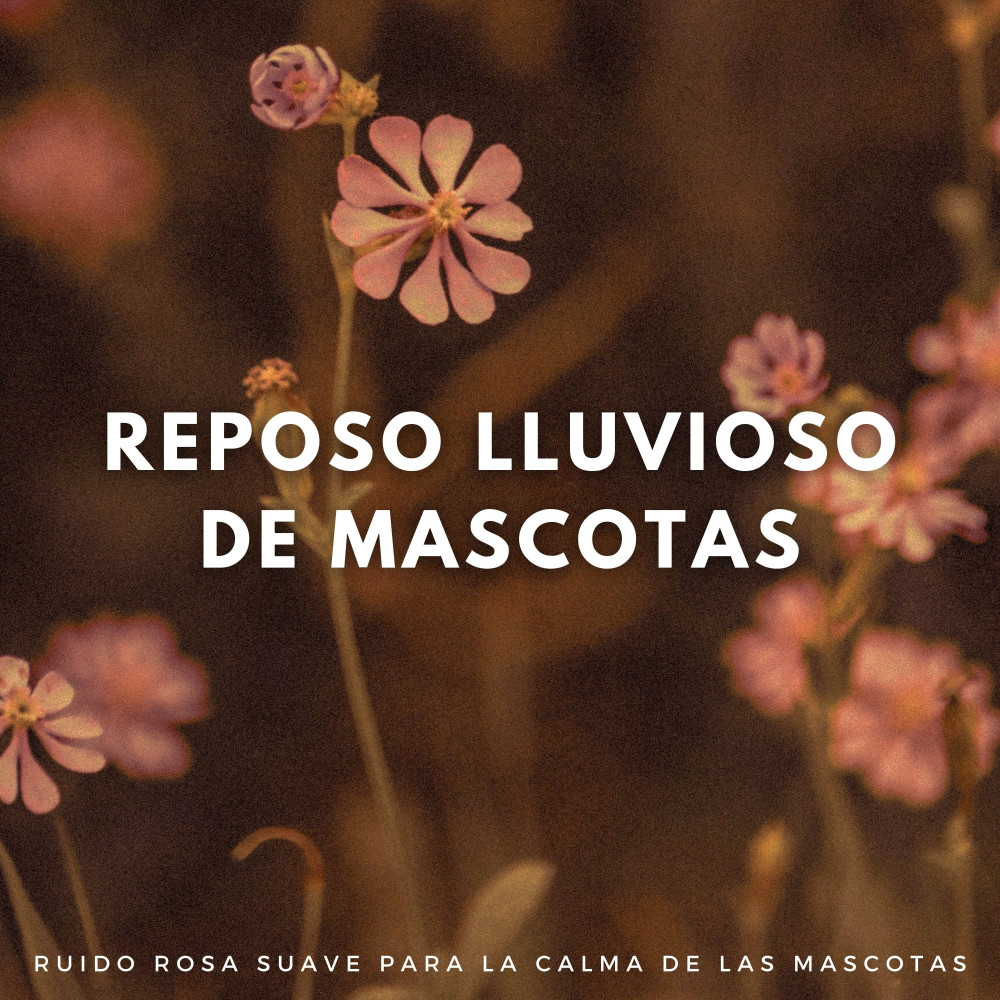 Terapia De Patitas Lluviosas