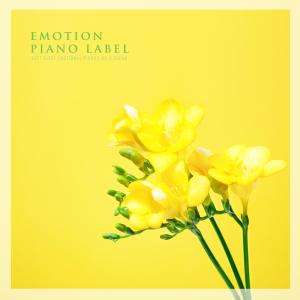Album Soft Sleep Emotional Piano Like A Dream from Various Artists