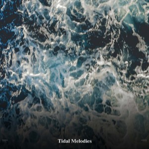 Calm Ocean Sounds的專輯!!!!" Tidal Melodies "!!!!