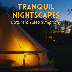 Tranquil Nightscapes: Nature's Sleep Symphony