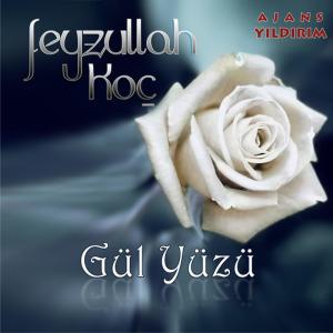 ดาวน์โหลดและฟังเพลง Kabenin Yolları พร้อมเนื้อเพลงจาก Feyzullah Koç
