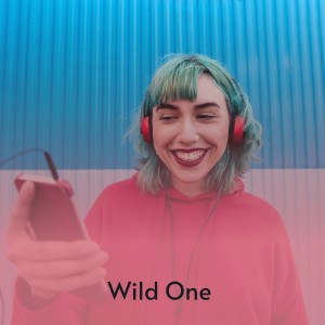 ดาวน์โหลดและฟังเพลง Wild One พร้อมเนื้อเพลงจาก Wynn Stewart