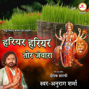 Listen to Hariyar Hariyar Tor Jawara song with lyrics from Anurag Sharma