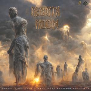 DAMOO BEATZ的專輯REBIRTH RIDDIM (INSTRUMENTAL)