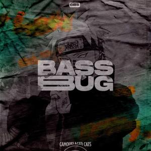 ดาวน์โหลดและฟังเพลง Bass Bug พร้อมเนื้อเพลงจาก Camouflaged Cats