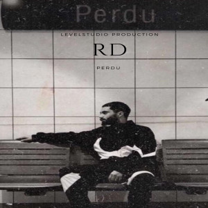 收听RD的Perdu歌词歌曲