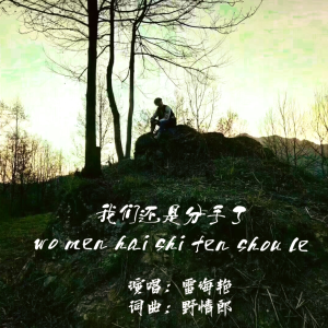 Listen to 我们还是分手了 song with lyrics from 野情郎