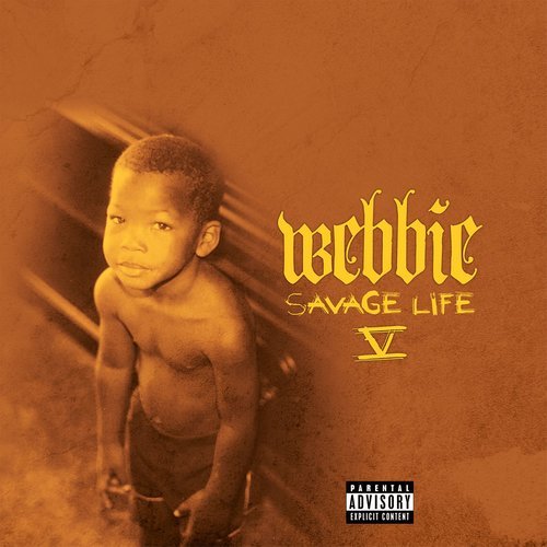 Problem (feat. Boosie BadAzz) (Explicit)