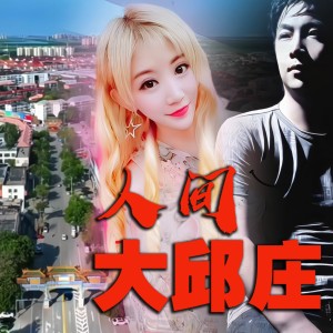 Album 人间大邱庄 from 