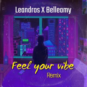 Listen to Feel Your Vibe (Remix) song with lyrics from Leandros